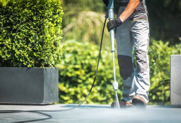 Best House Exterior Washing  in Westfield, MA