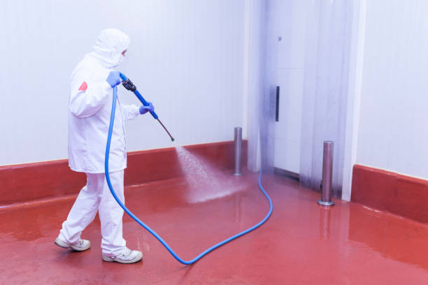 Best Spring Cleaning  in Westfield, MA